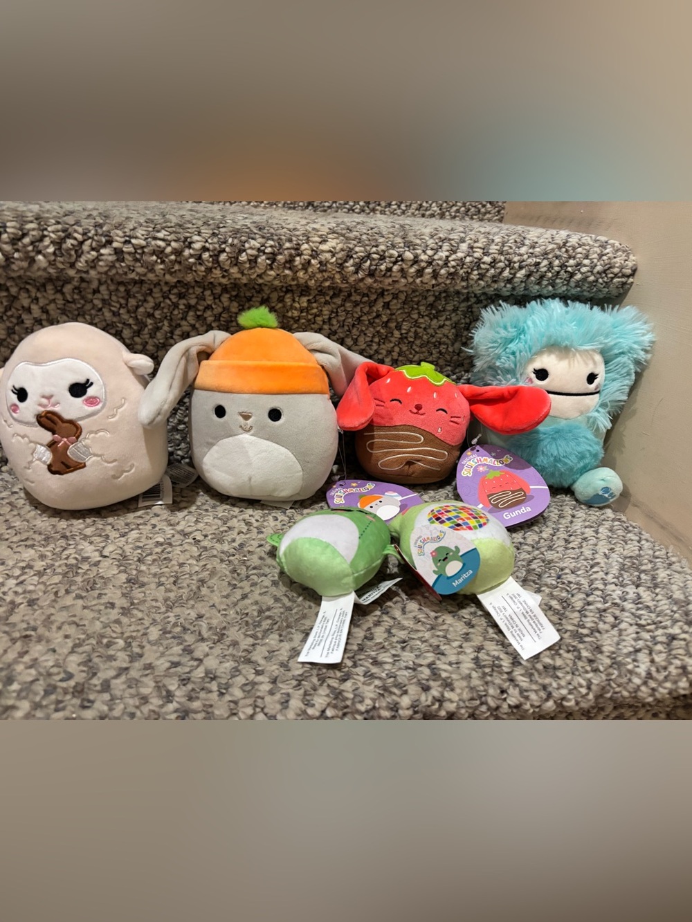 squishmallow lot